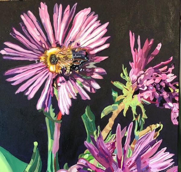 Bee on Asters