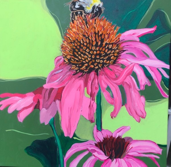 Bee on  Pink Echinacea