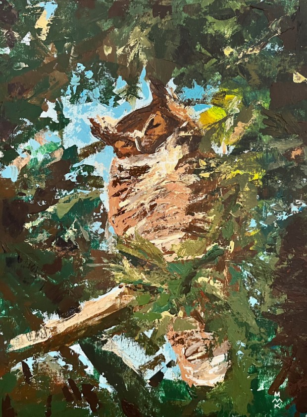 Owl Naps in Tree