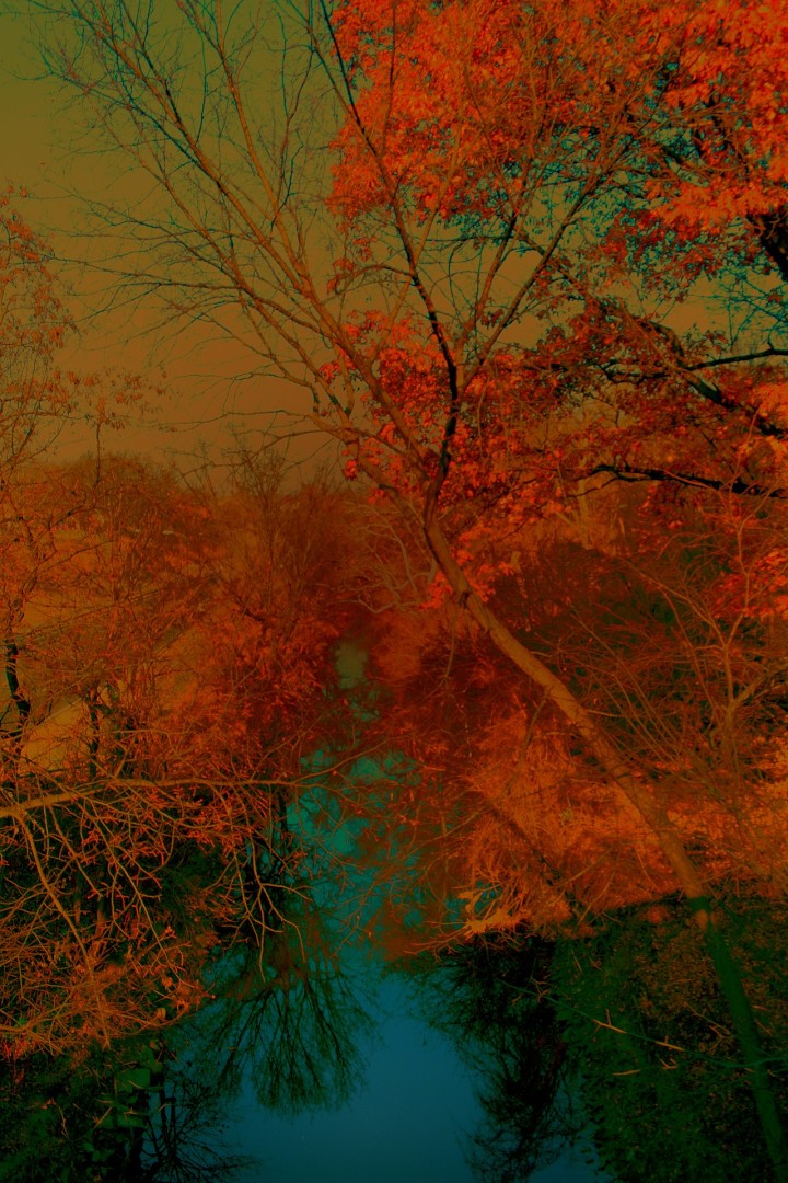 Rock Creek and M - Digital, Digital, Nature, Expressionism, Paper