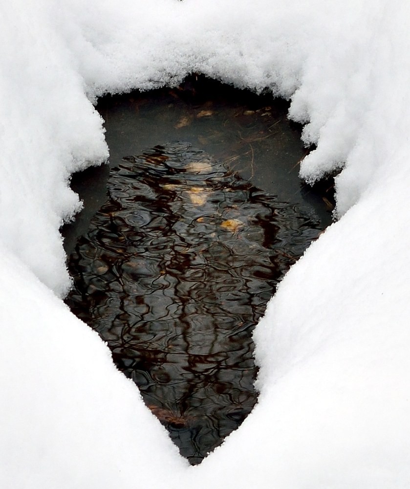 Spring Snow - Digital, Digital, Nature, Expressionism, Metal