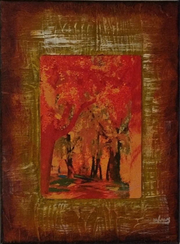 The Way, Rose Park on Canvas