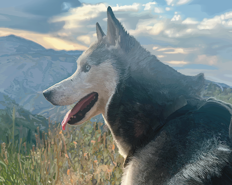 Commissioned Pet Portrait