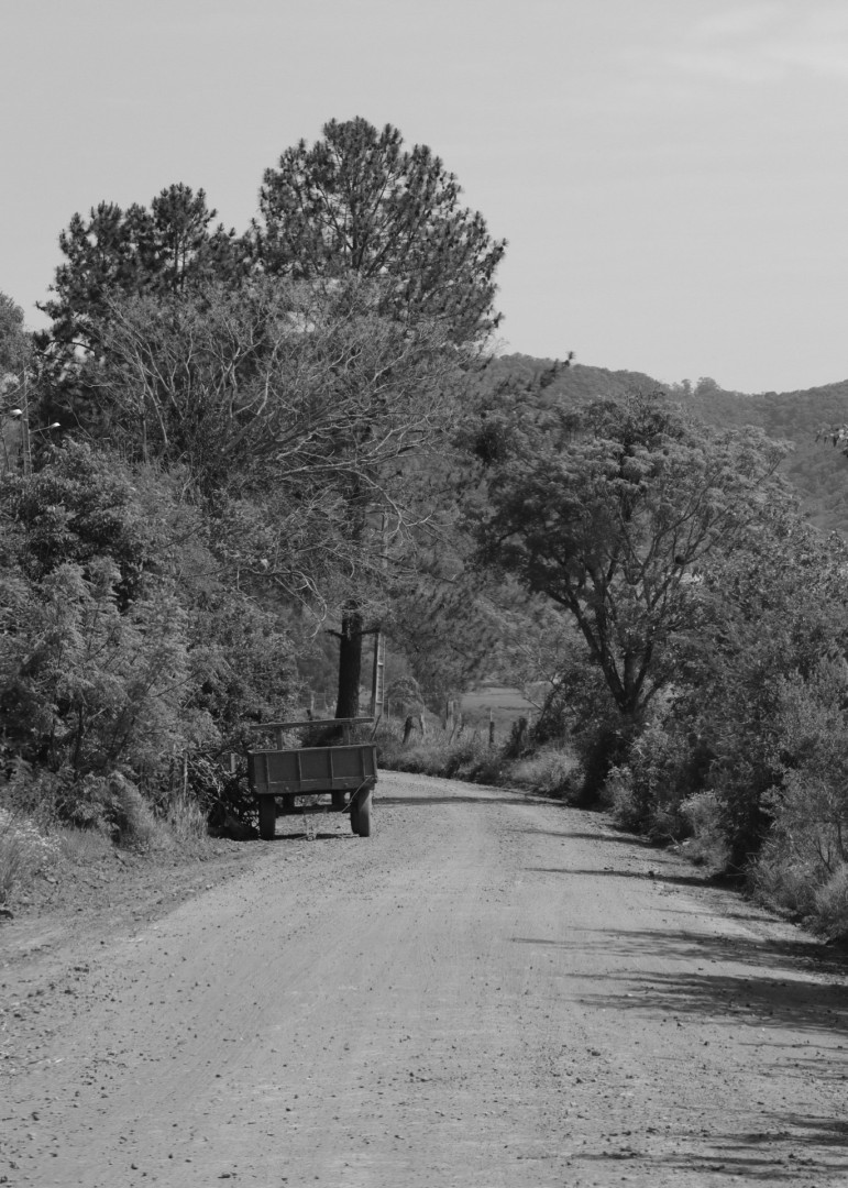 Curves - artwork by Luisa Benetti:  