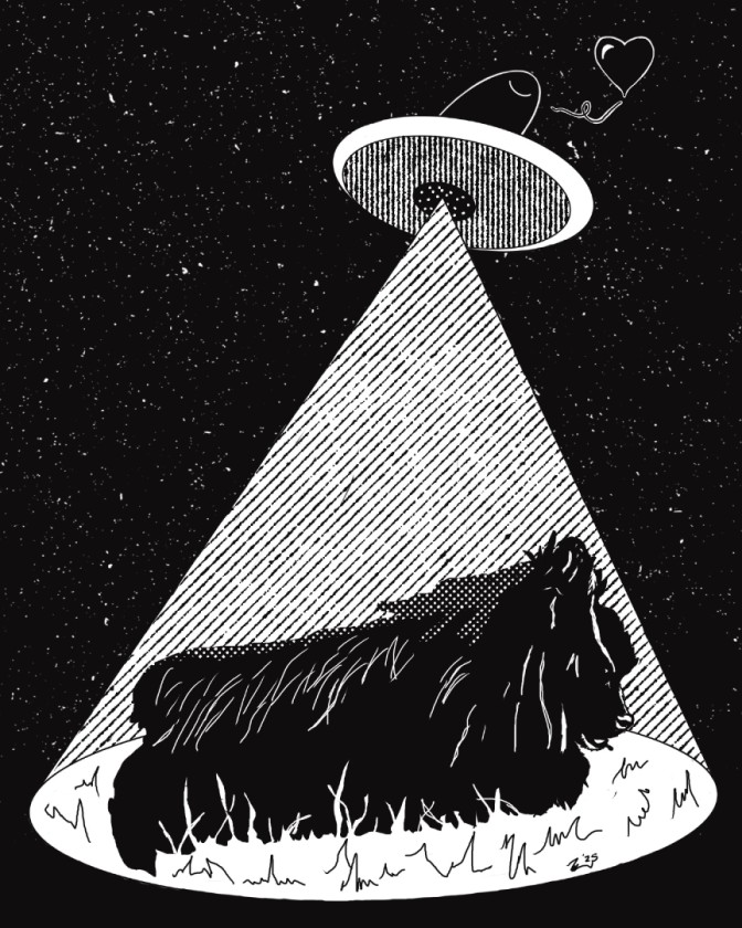 Lola the Musk Ox being Saved from Earth