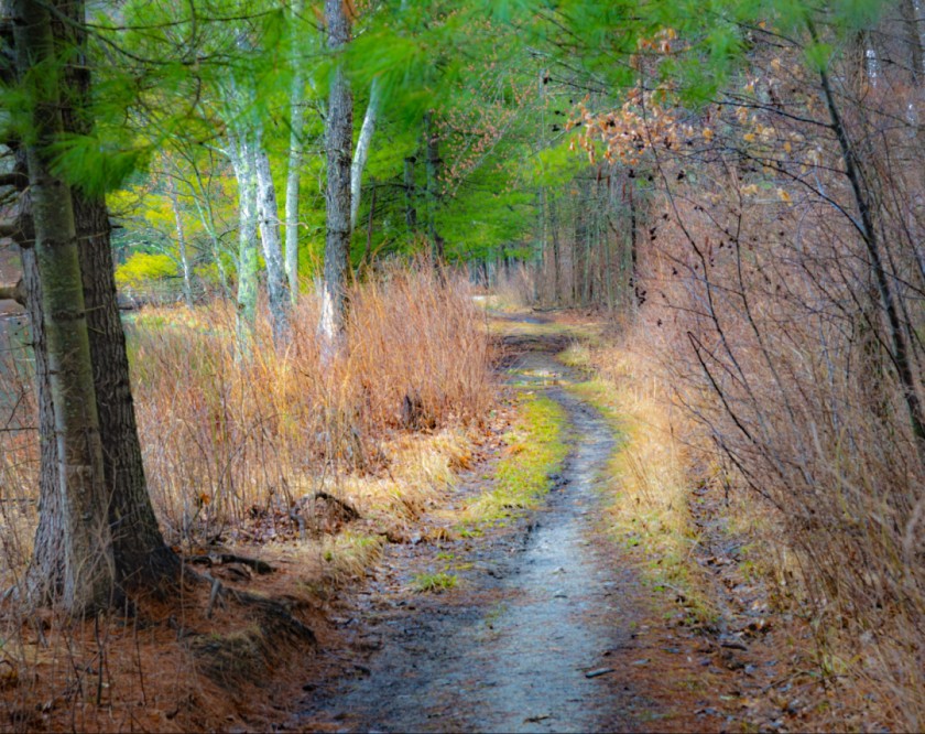 Springtime On Otter Alley