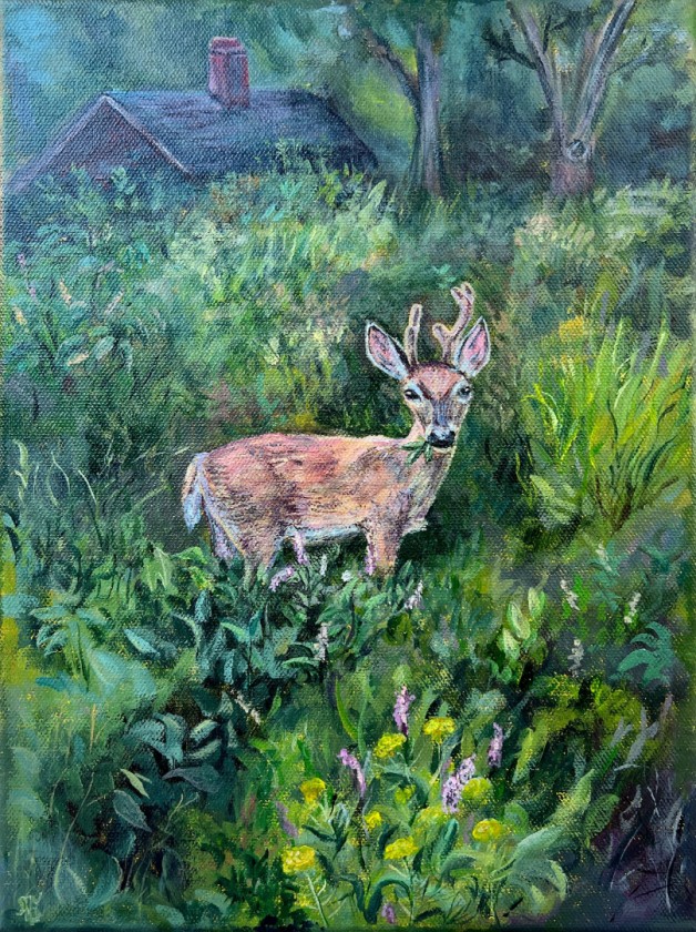 Whitetail Deer in the Garden