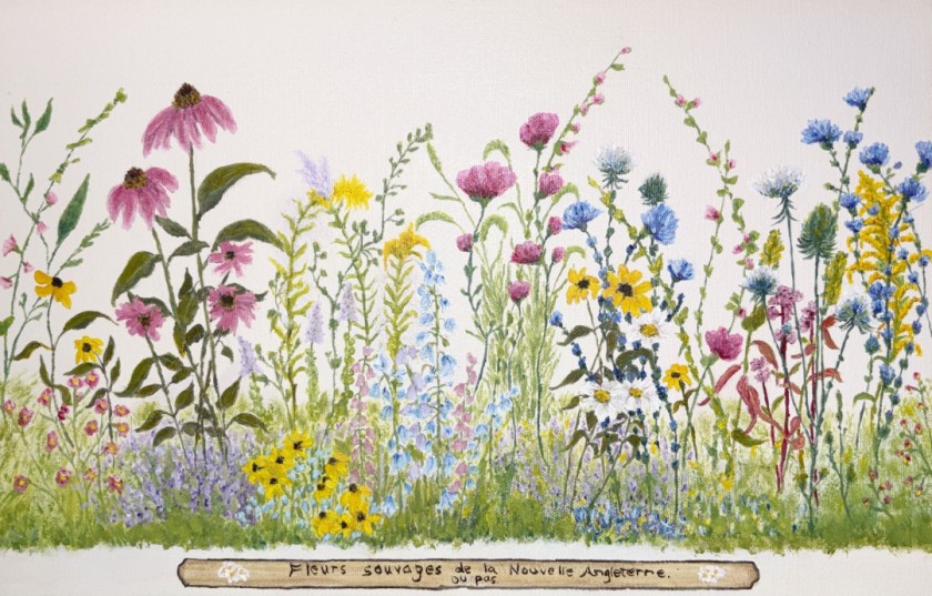 Wildflowers of New England (or not)