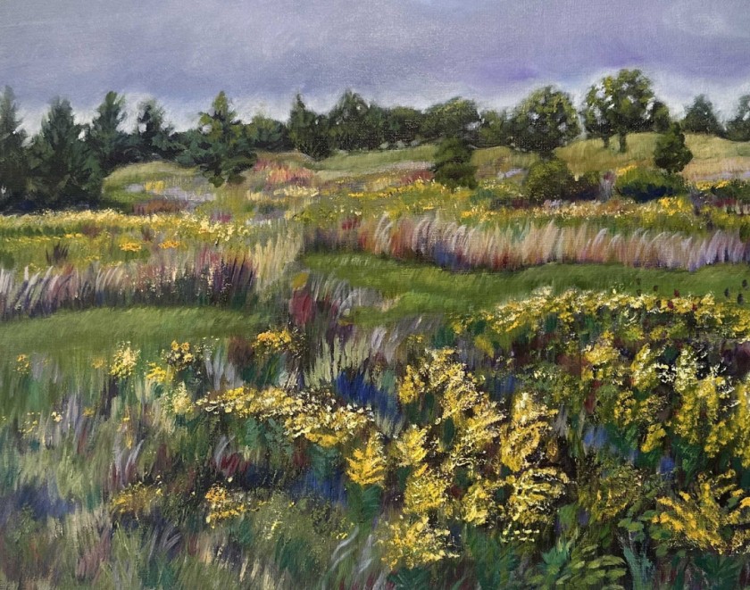 Eagleview Goldenrods