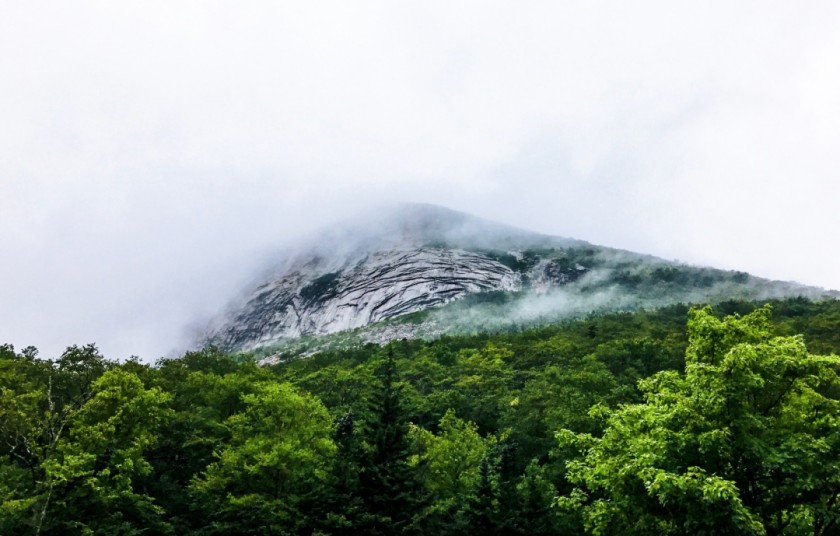 The Meeting Place of Change and Stillness