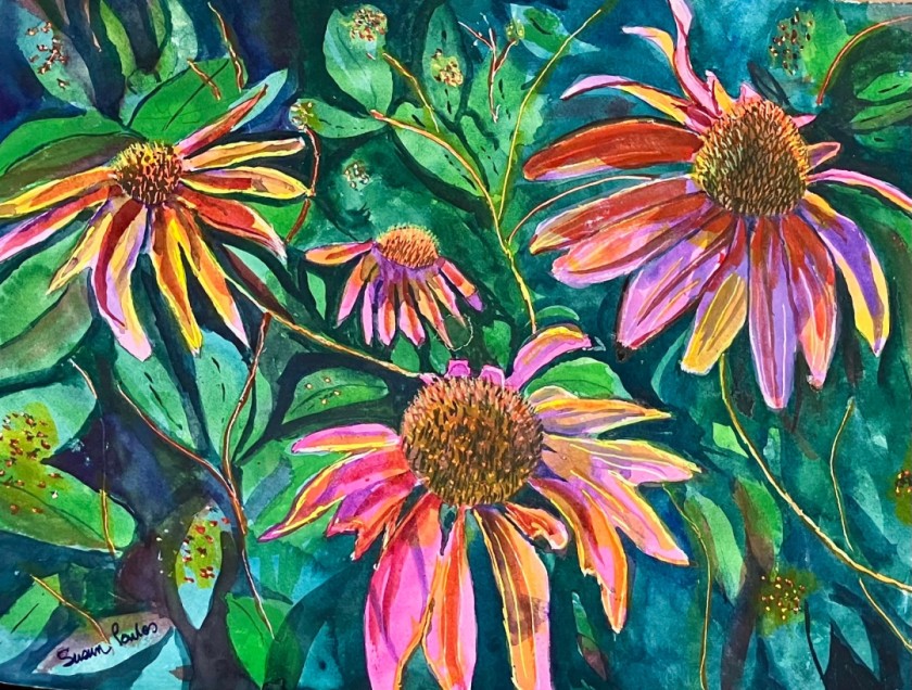 Dance of the Coneflowers