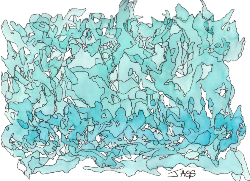 Medicine for the Soul: Healing Putting the Pieces Together