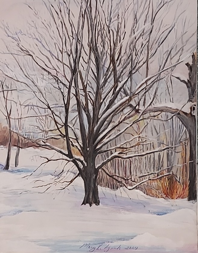 Winter Copper Beech Tree