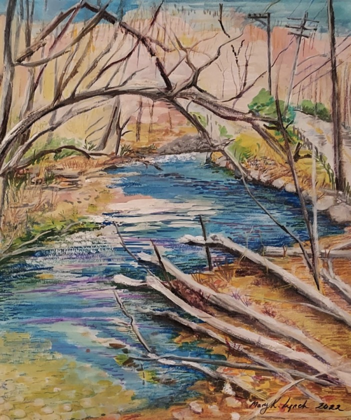 Stonybrook Creek in Sloatsburg, New York