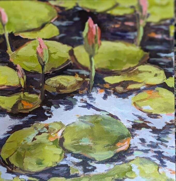 Water Lillies at Jenkins