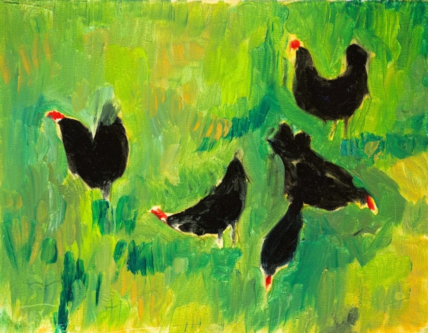 Flock study (2)