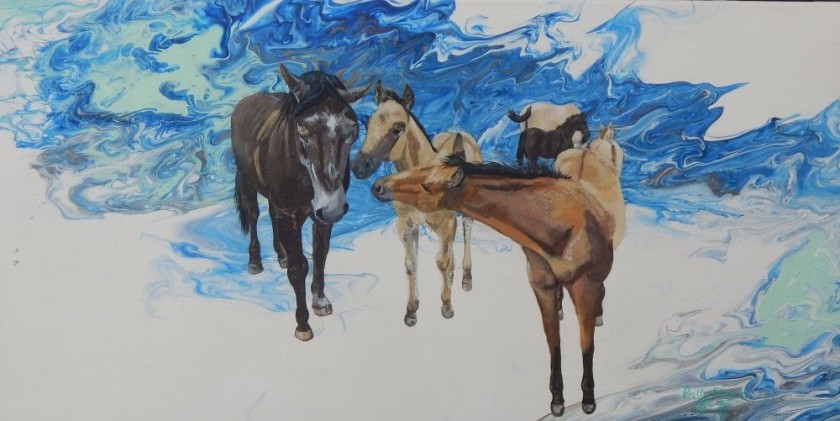 Blue Sky Foals