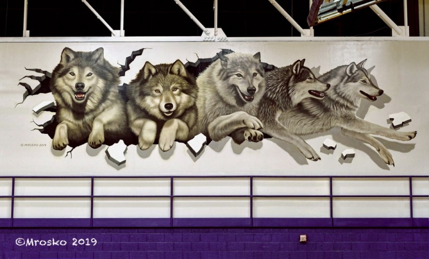 Hand Painted Wolves Gym Mural 10'x33'