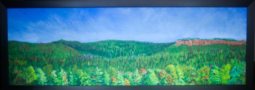 Long Form Landscape 1