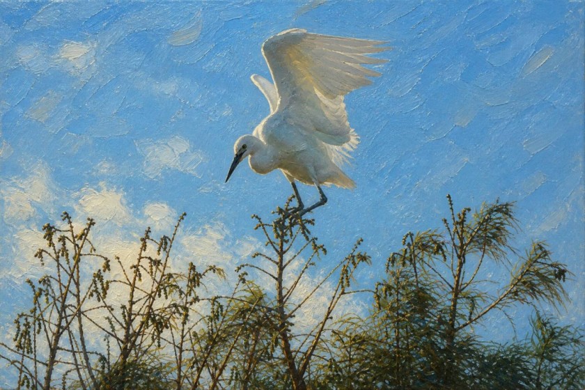 Perch of Light