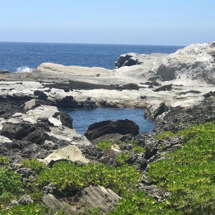 Tide Pools of Silence