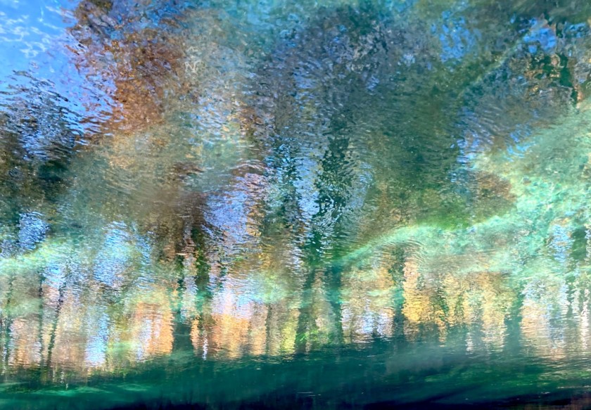 Ichetucknee watercolors