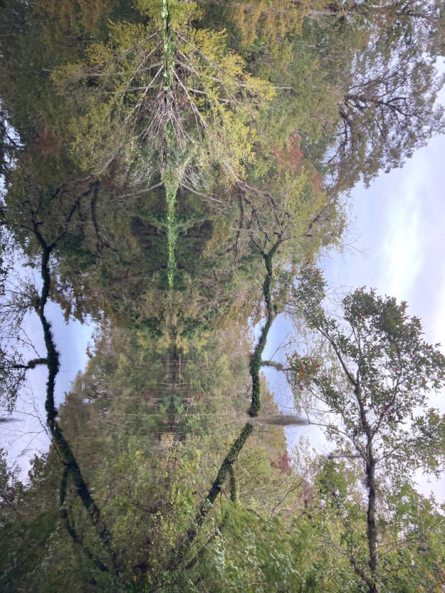 forest spirit