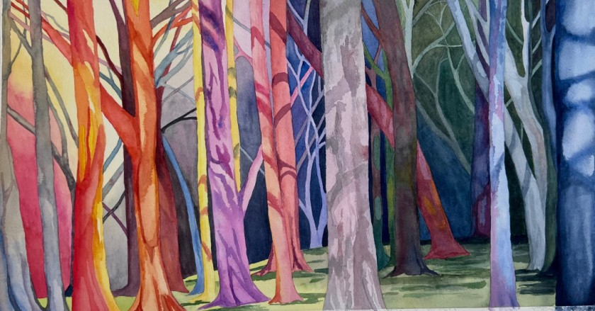 Rainbow Forrest