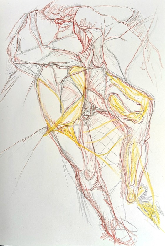 Figure Exposed 