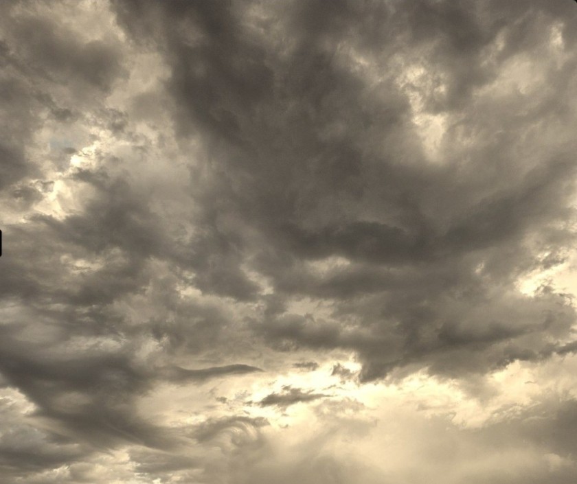 Clouded Dragon