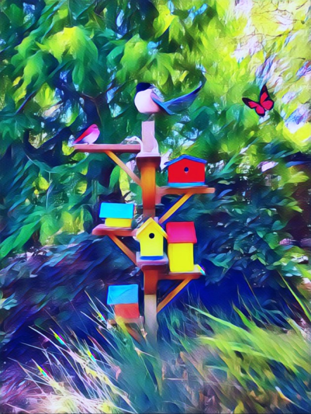 Bird Houses