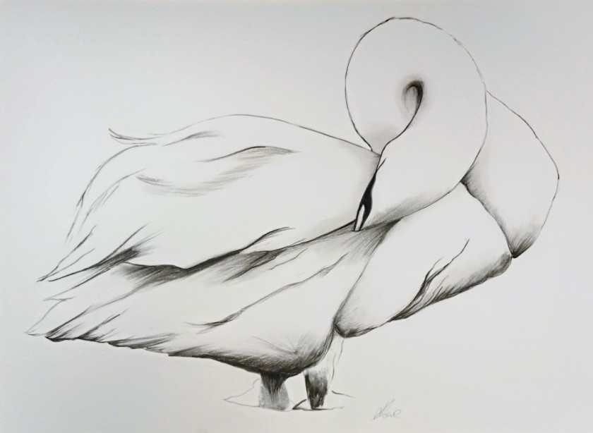 Just Preening