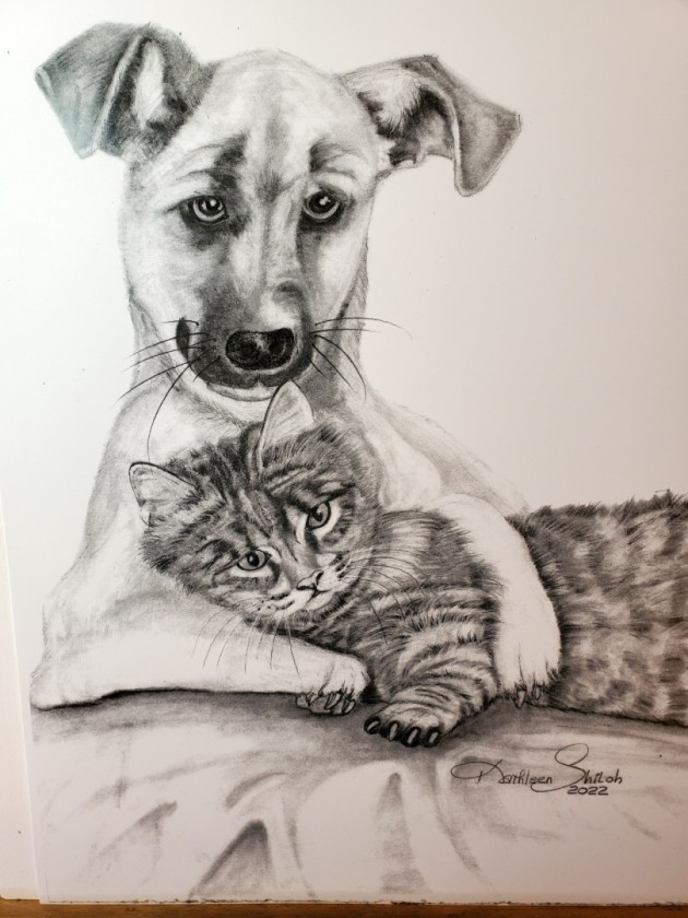 Dog & Cat