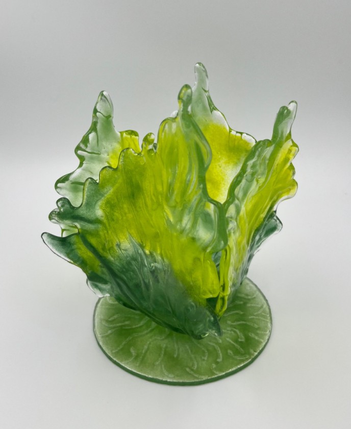 Lettuce!