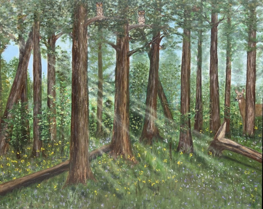 Forest Life