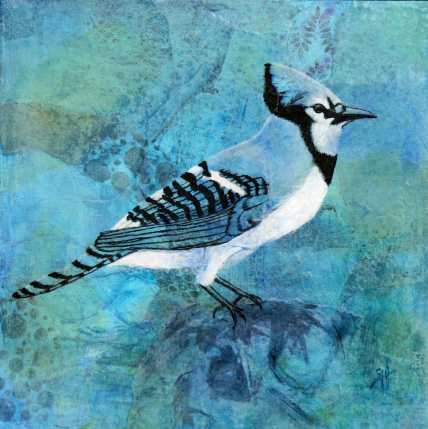 Blue Jay on B