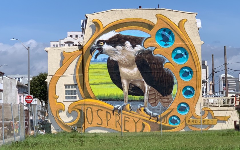 Osprey Project 