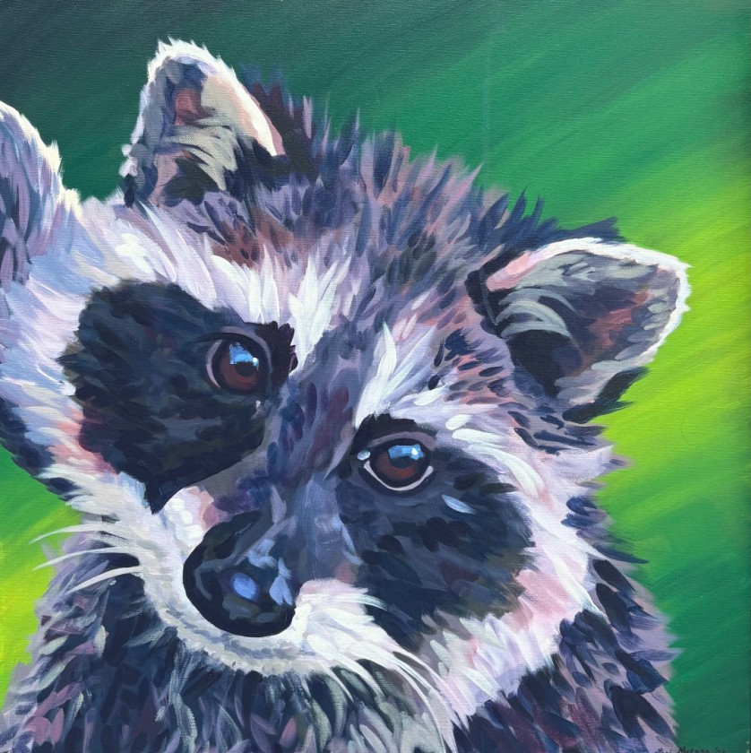 Raccoon Head