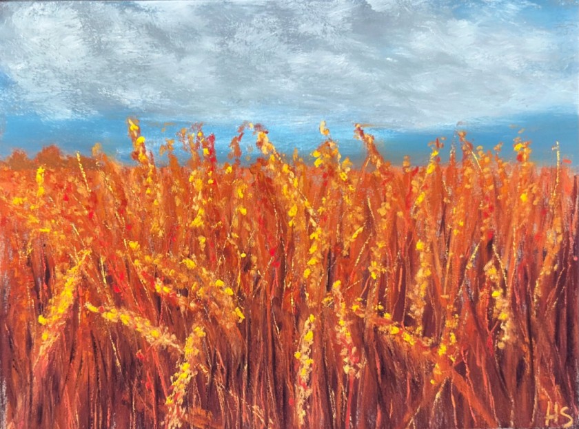 Blazing Wheat
