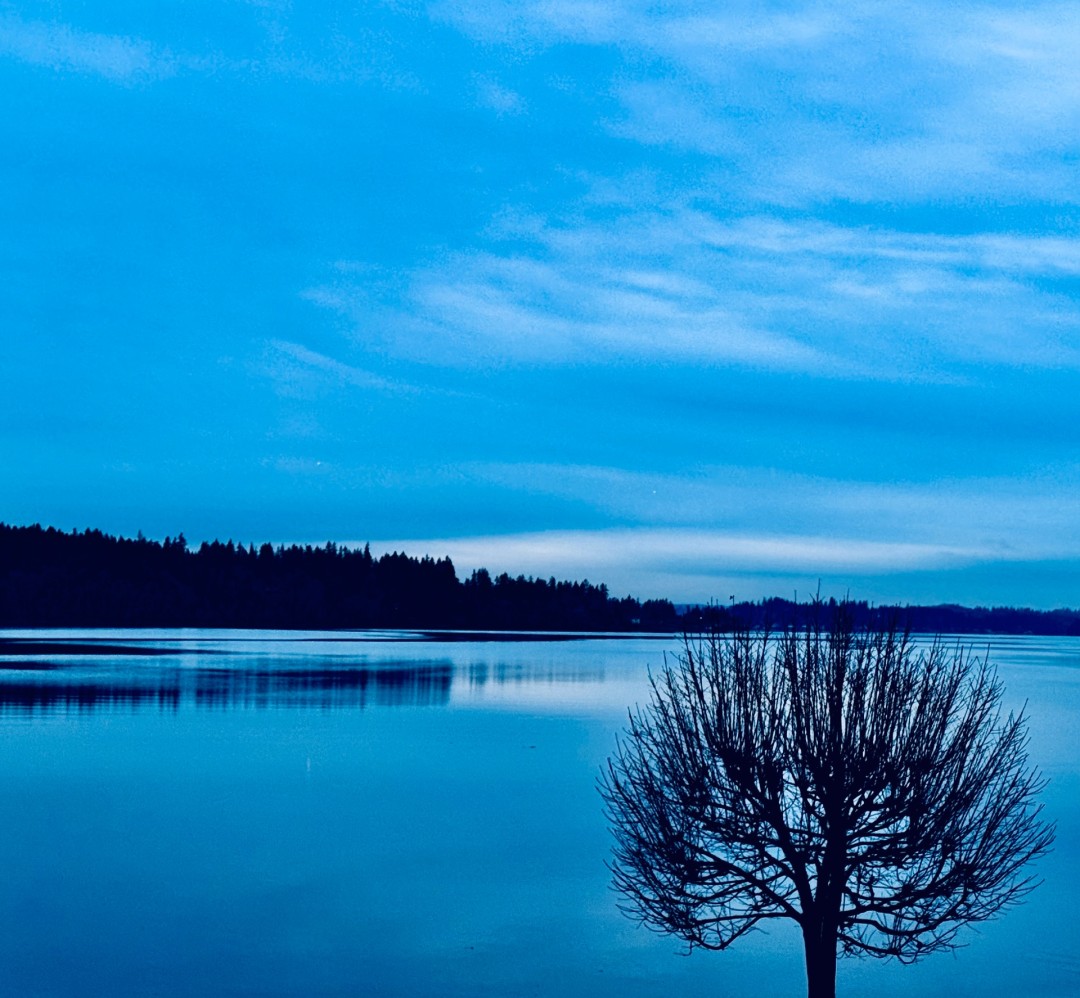 Silverdale - artwork by Katarina Bailot:  Landscape, Realism, Photography Digital, Paper