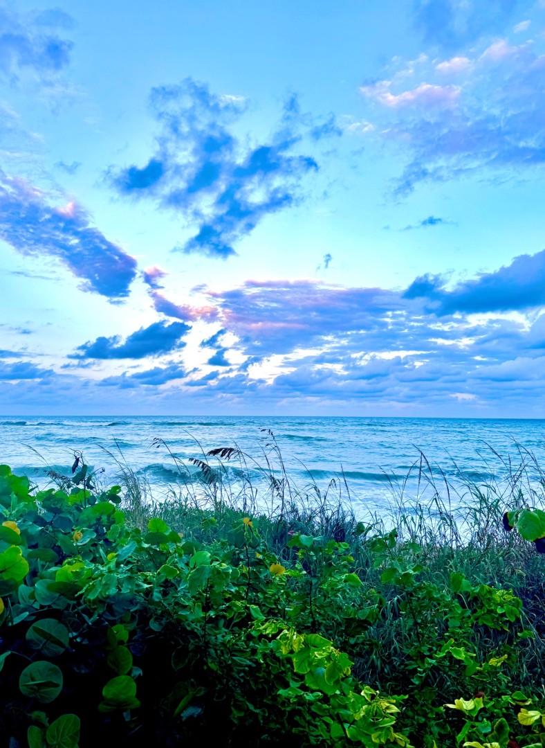 Palm Beach - artwork by Katarina Bailot:  Landscape, Realism, Photography Digital, Paper