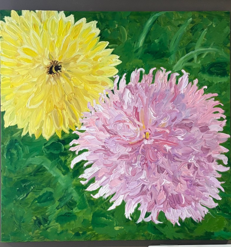 Yellow & Pink Dahlia’s