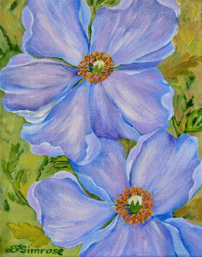 Blue poppies