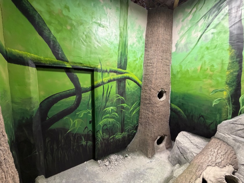 Zoo Mural