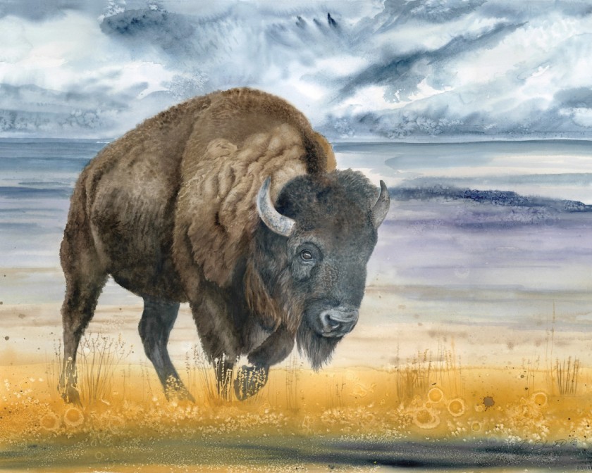 Majesty of the Plain