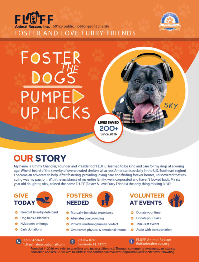 Fluff Adoption Flyer