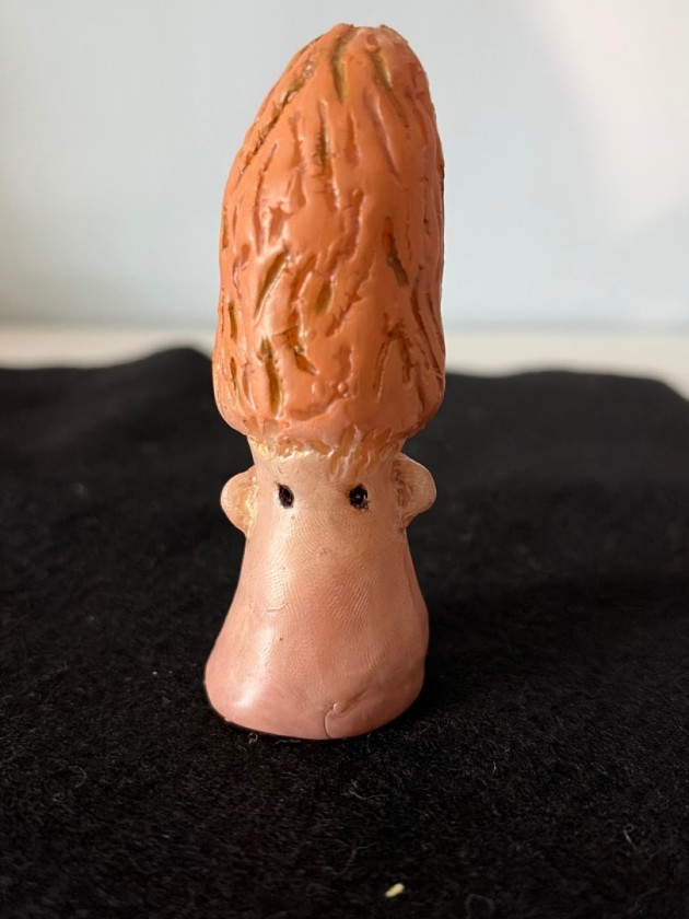 Moe the Morel Mushroom