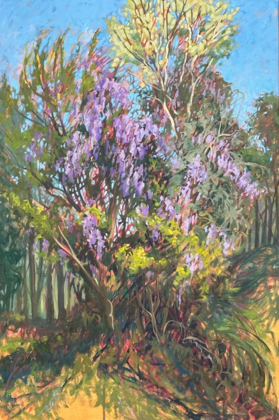 3 Days of Wisteria