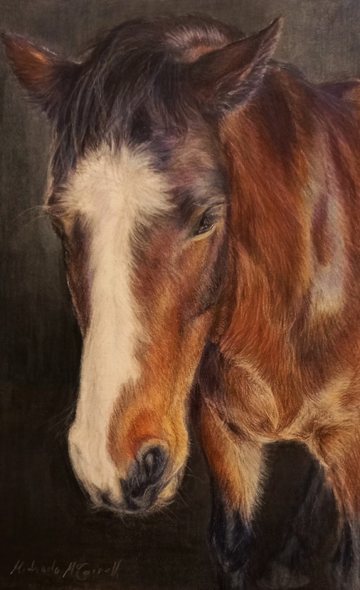 Portrait of my Horse