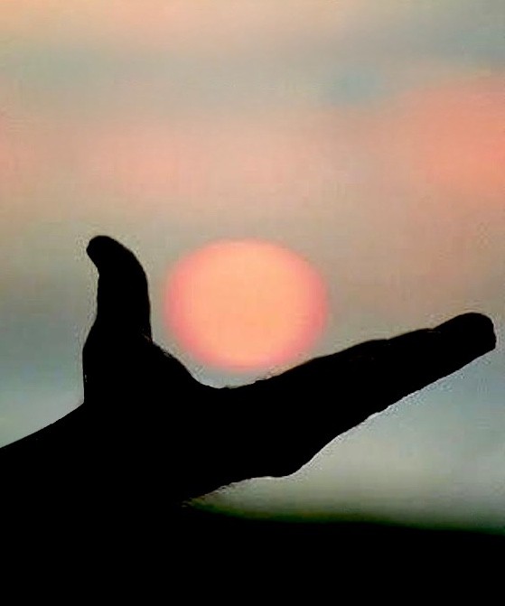In The Hand of The Beholder